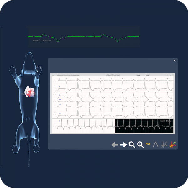 VET STUDENT ADVANCED monthly